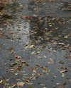 veroni22ka Altpins Profile Picture