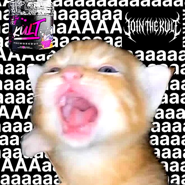 grogusmami instagram image archive image
