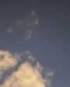 shpaakova Altpins Profile Picture