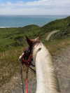carolinezalog Altpins Profile Picture