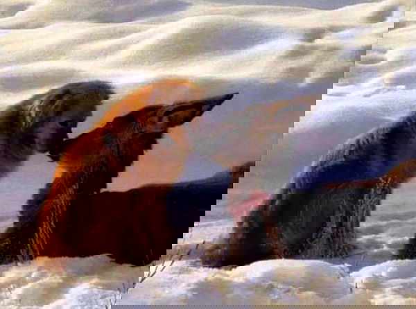 missnyxdawn missnyxdawn archive image