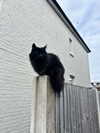 mollieruck Altpins Profile Picture