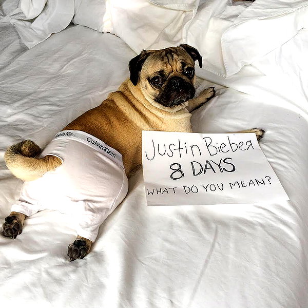 lilbieber instagram image archive image