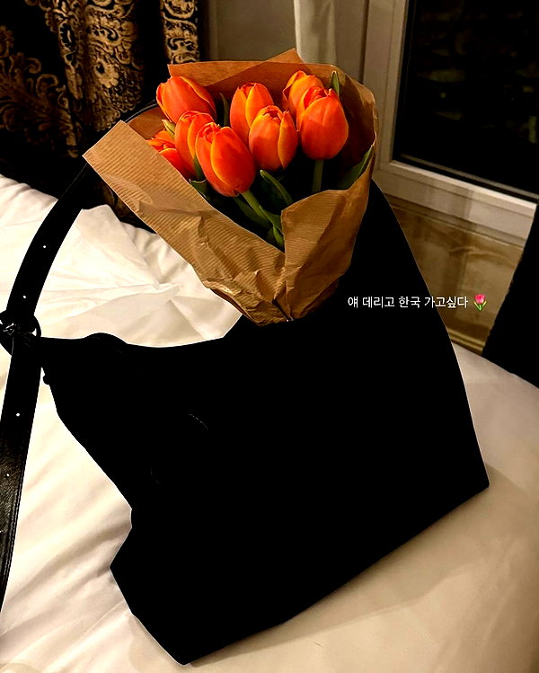daxbin instagram image archive image