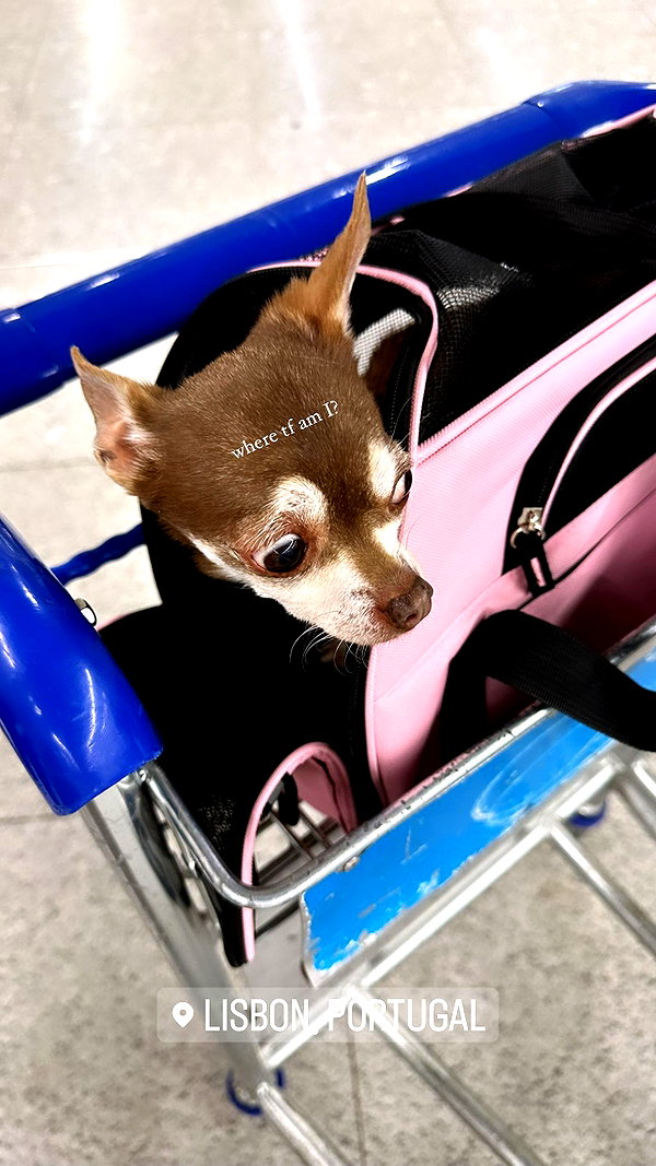 gwendolynceline instagram image archive image