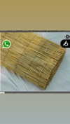 babynympho_archive Altpins Profile Picture