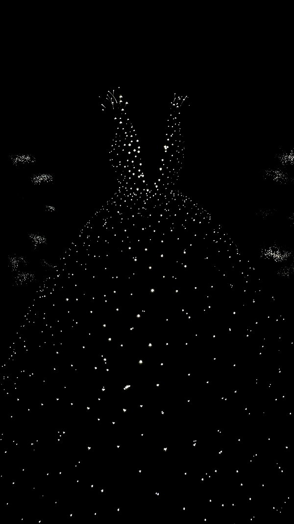 maori_cohen archive image