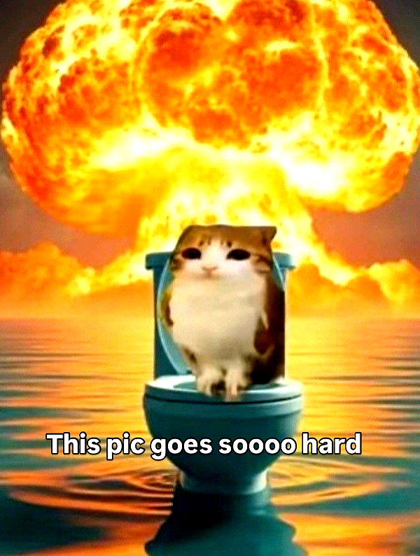 milkibunshehe instagram image archive image