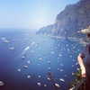 alexandradaddario Altpins Profile Picture