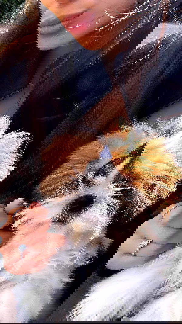 noammalka___ noammalka___ archive image