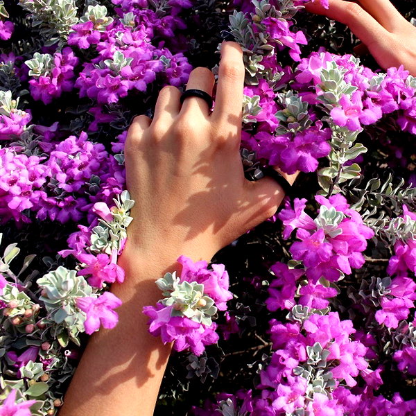 jadelaverne instagram image archive image