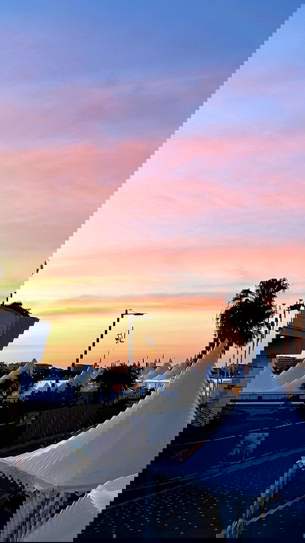 taylor.creeden taylor.creeden archive image