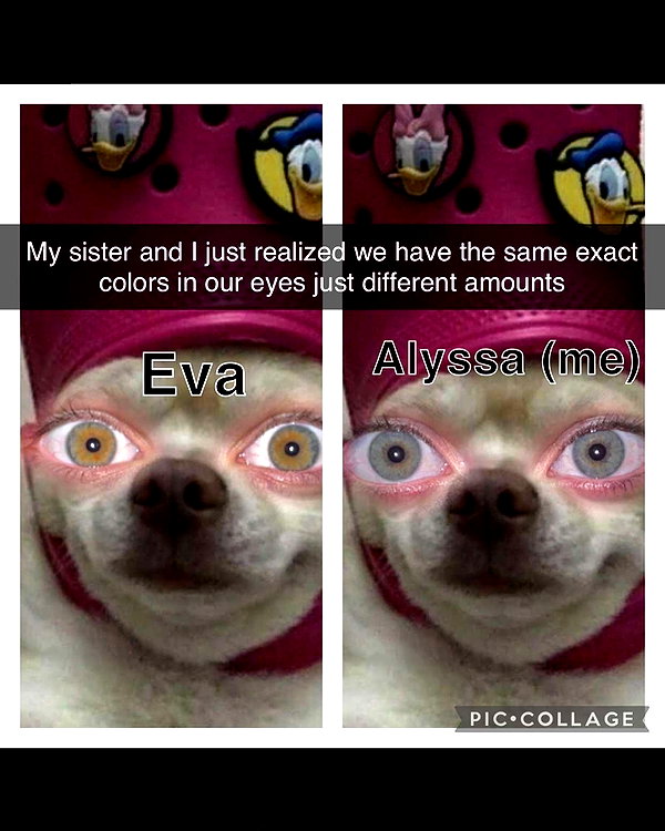 nofrwutamievendoinghere instagram image archive image
