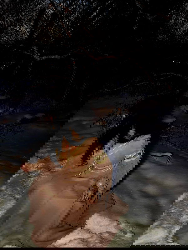 laurinchhhe laurinchhhe archive image