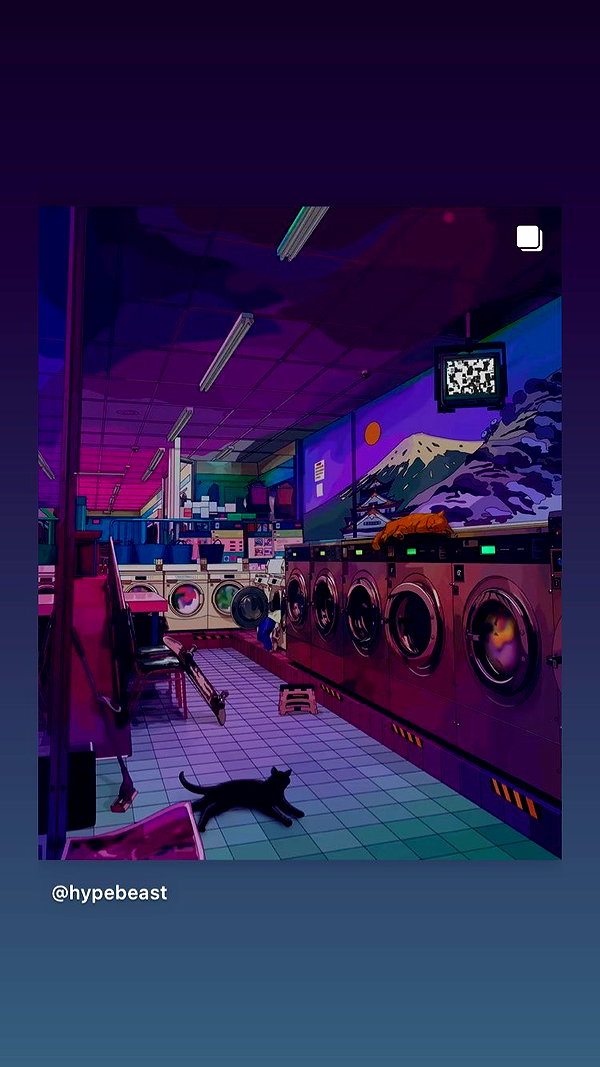 haileylayfield instagram image archive image