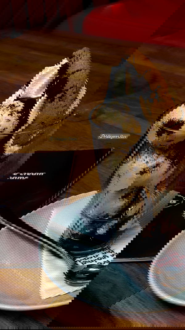 noammalka___ noammalka___ archive image