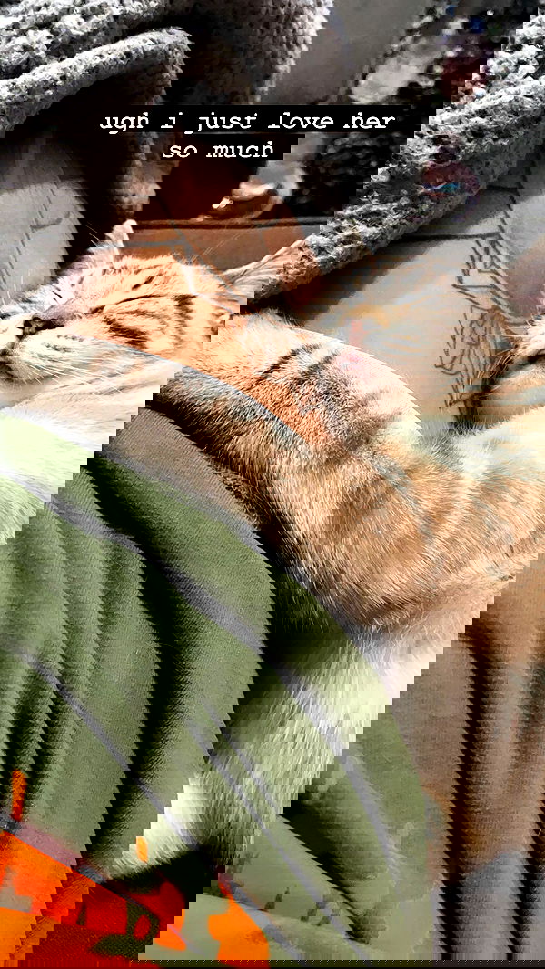 suikomuu suikomuu archive image