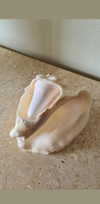ruth_chavarri Altpins Profile Picture