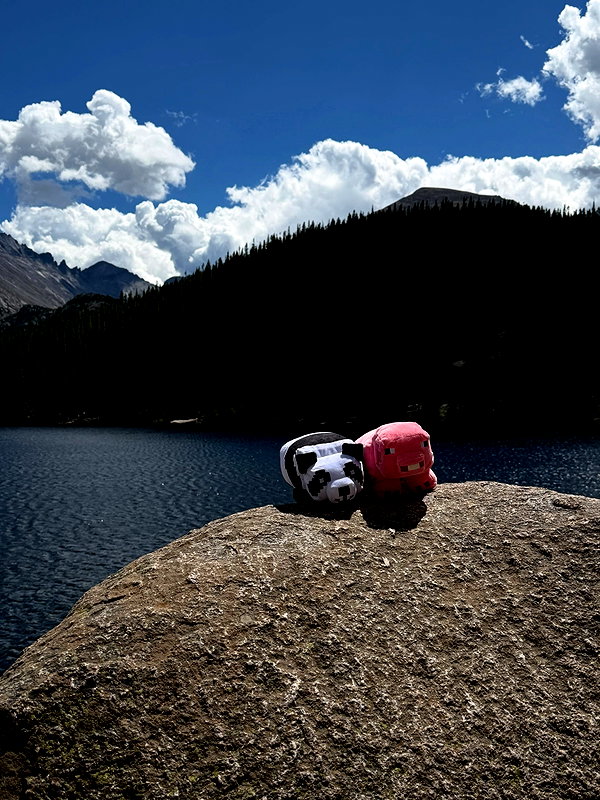 cellow111 instagram image archive image