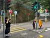 lalytoples Altpins Profile Picture