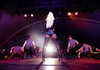 xtina Altpins Profile Picture