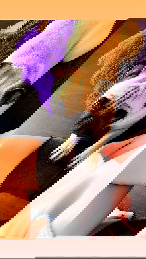 nyityam nyityam archive image