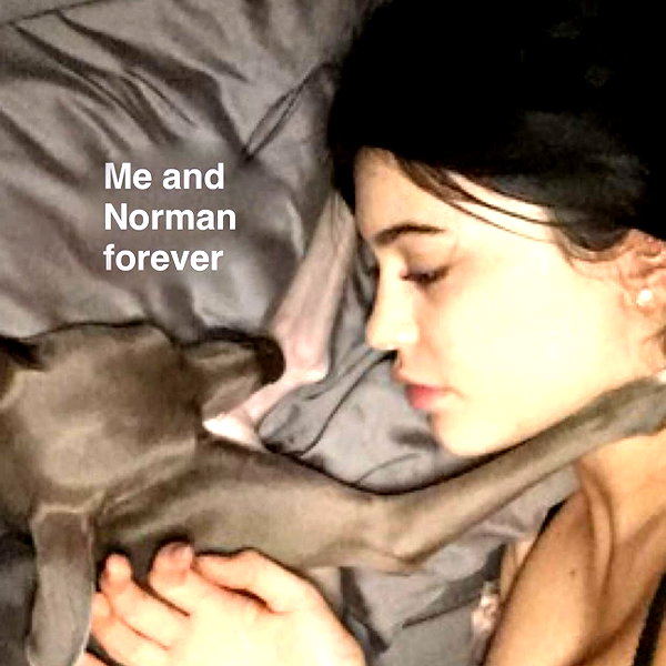 kyliejenner instagram image archive image