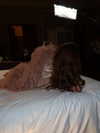 levsave Altpins Profile Picture