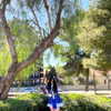 dante_yangpa Altpins Profile Picture