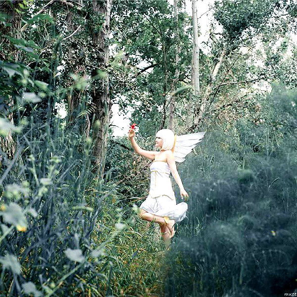 muze instagram image archive image