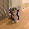 glowmoonshorty Altpins Profile Picture