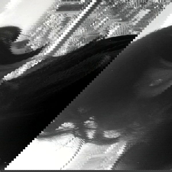 moonliliaght moonliliaght archive image