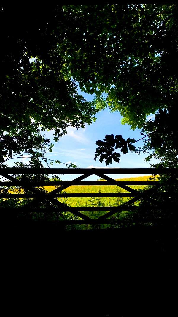 mollieruck instagram image archive image