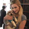 lilireinhart Altpins Profile Picture