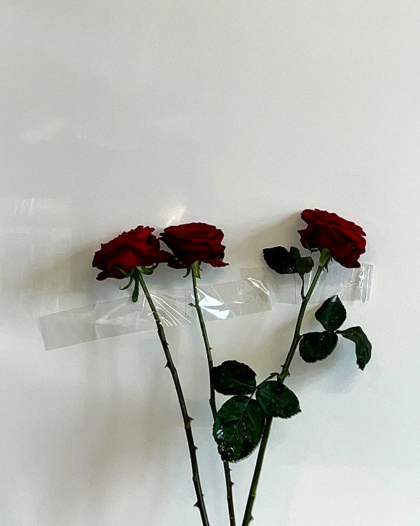 daryanedarya instagram image archive image