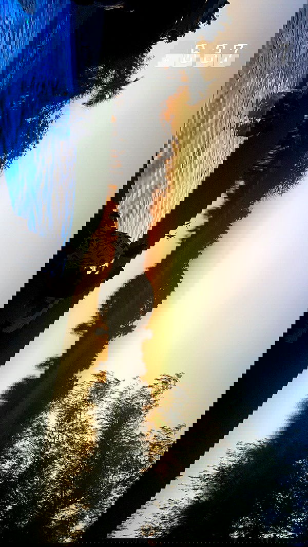 taylor.creeden taylor.creeden archive image