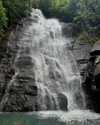 shpaakova Altpins Profile Picture