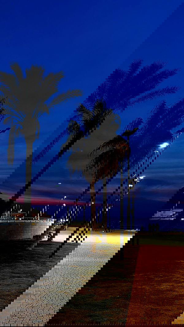 noammalka___ noammalka___ archive image