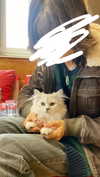 f4iryybl00d Altpins Profile Picture