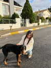 yuvalhazan___ Altpins Profile Picture