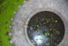 danafetishistova Altpins Profile Picture