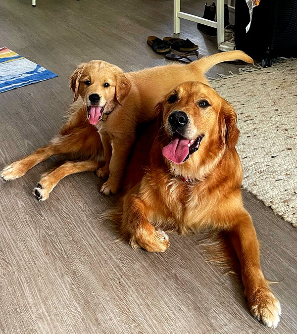 Archived image from @edenharper on Instagram