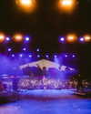 cannonstheband Altpins Profile Picture