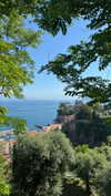 raphaelle.benishay Altpins Profile Picture