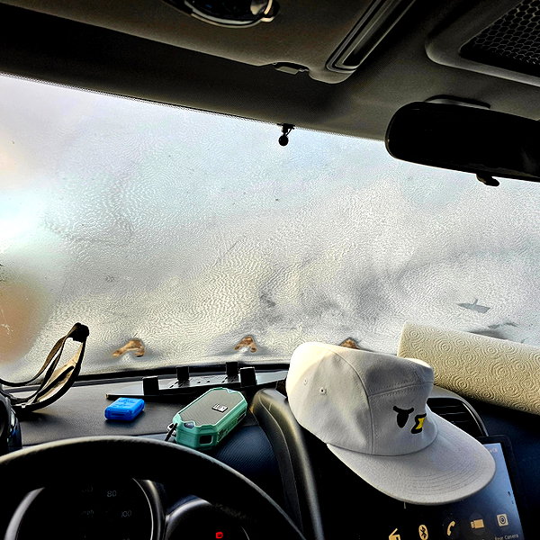 muze instagram image archive image