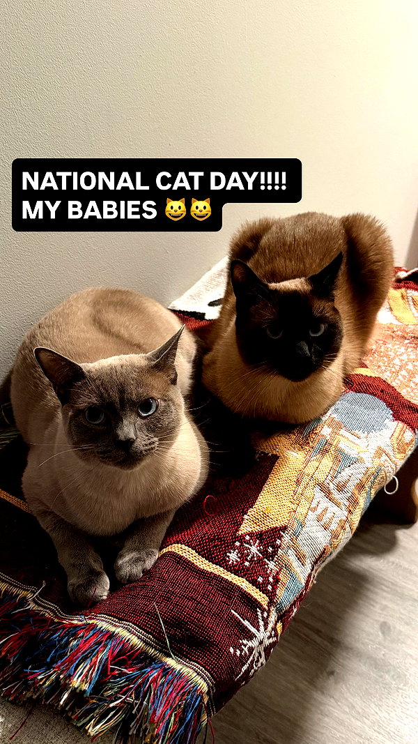 Archived image from @sugarcoatedkiss on Instagram