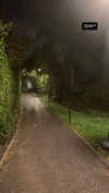 shai_landau_ Altpins Profile Picture