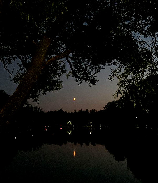 anastasimpa instagram image archive image