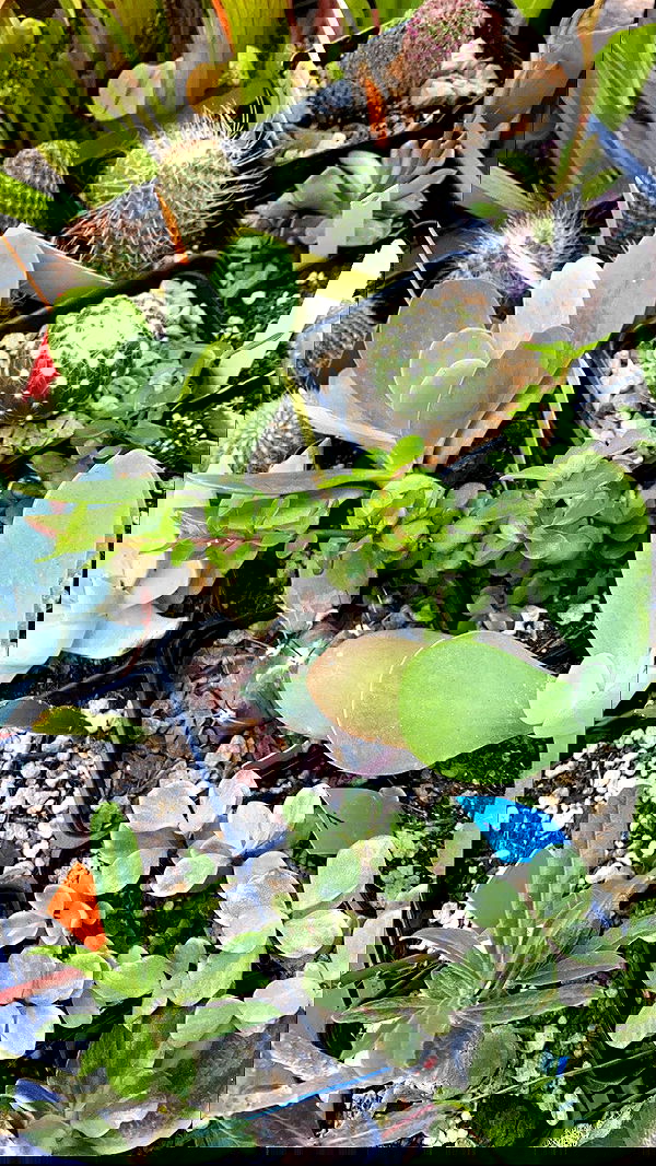 taylor.creeden taylor.creeden archive image