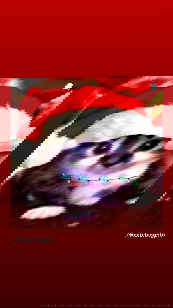 hellokittyangel666 hellokittyangel666 archive image